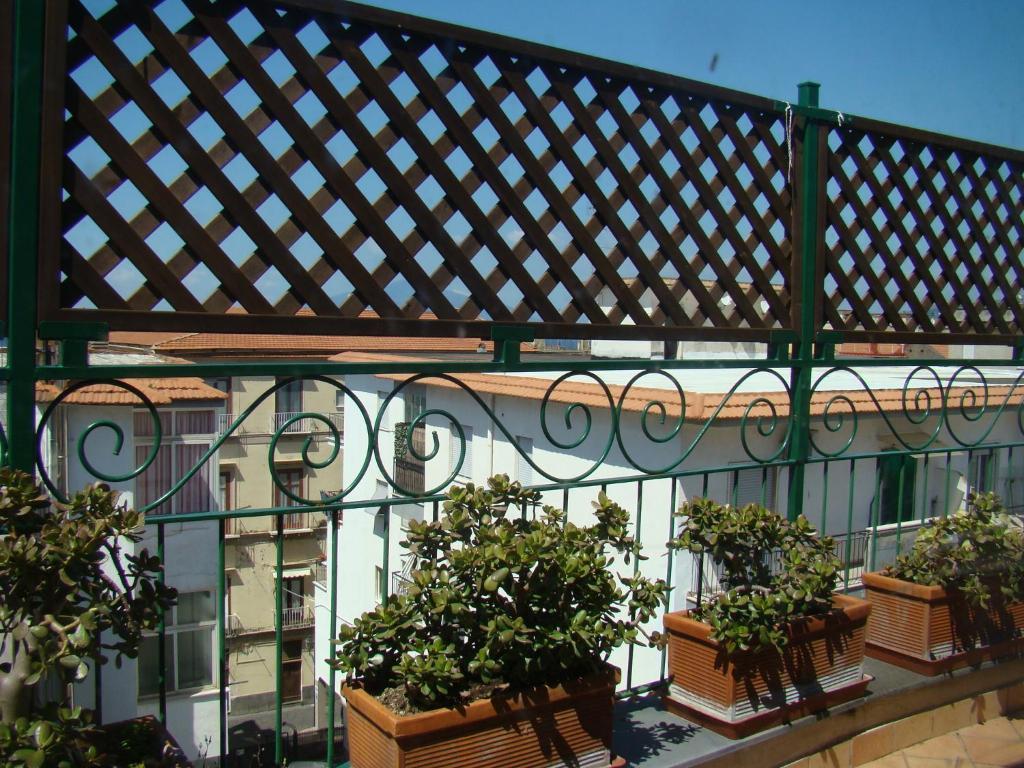 Sorrento Inn Guesthouse Gasthof Sorrent