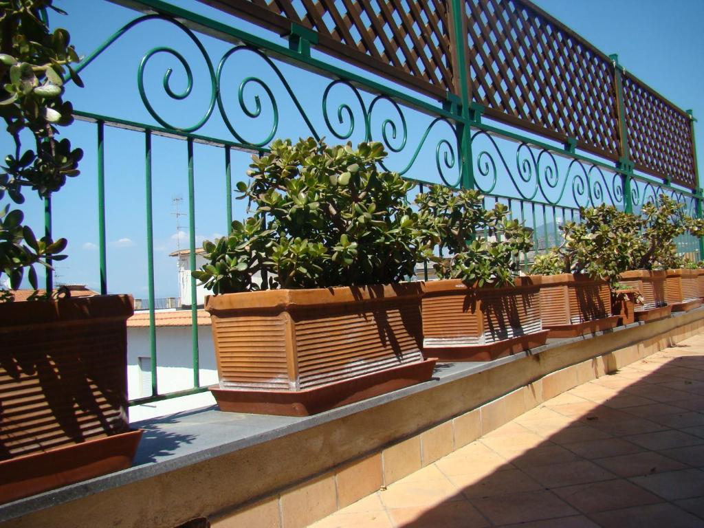 Sorrento Inn Guesthouse * Sorrent